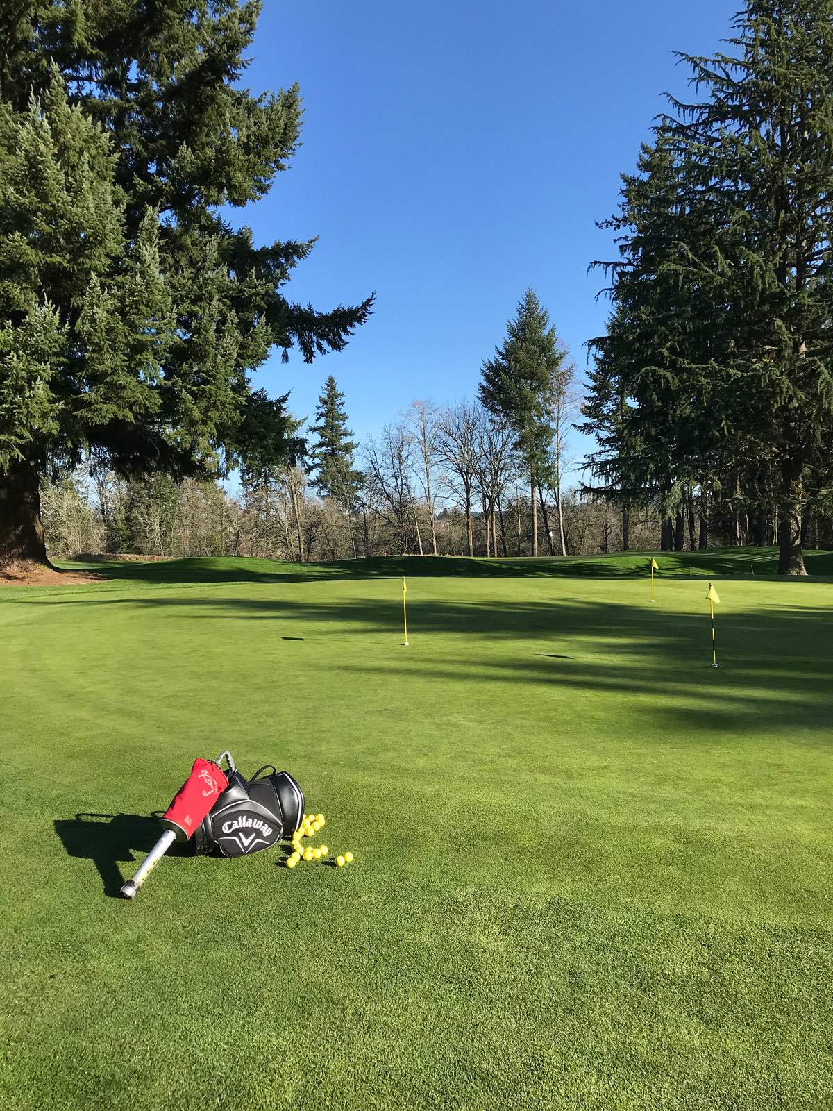 Practice Facilities Tualatin Country Club Tualatin, OR